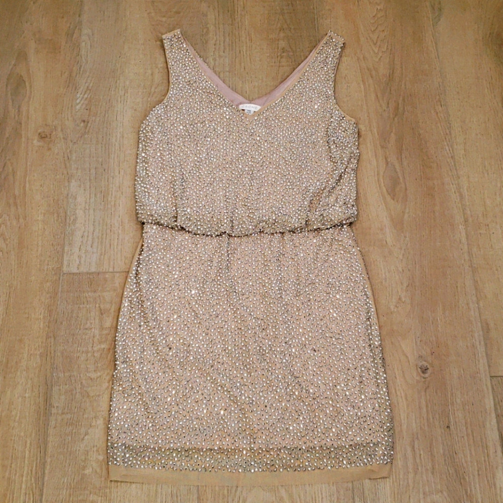 Cache Lined Silver Beaded Dress